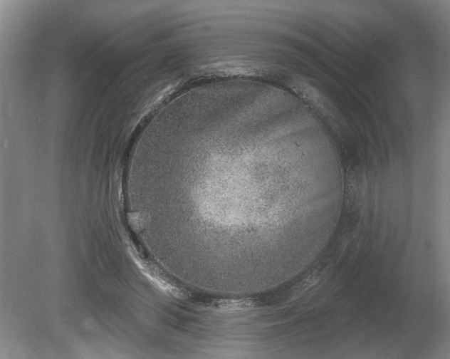 X0000080720398200612221232