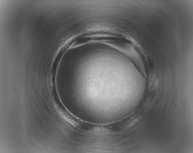 X0000080720399200612221232