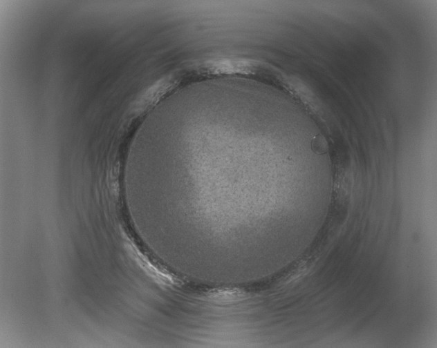 X0000080720402200612221232