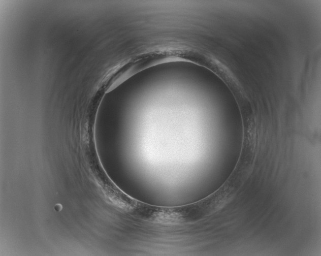 X0000080720403200612221232