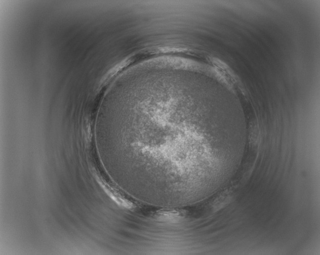 X0000080720405200612221232