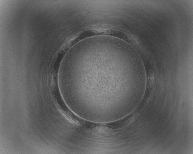 X0000080720408200612221232