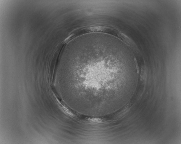 X0000080720409200612221232