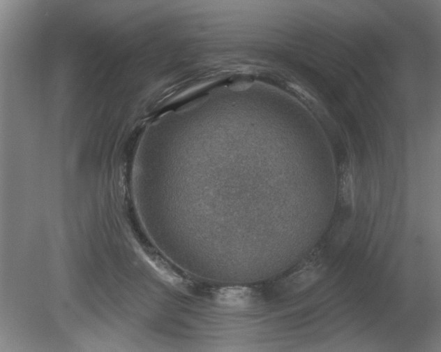 X0000080720410200612221232