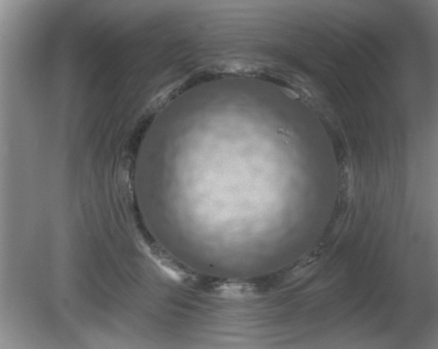 X0000080720415200612221232