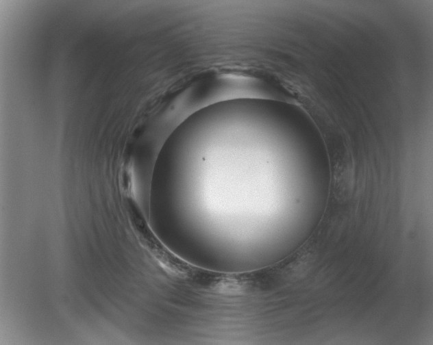 X0000080720416200612221232