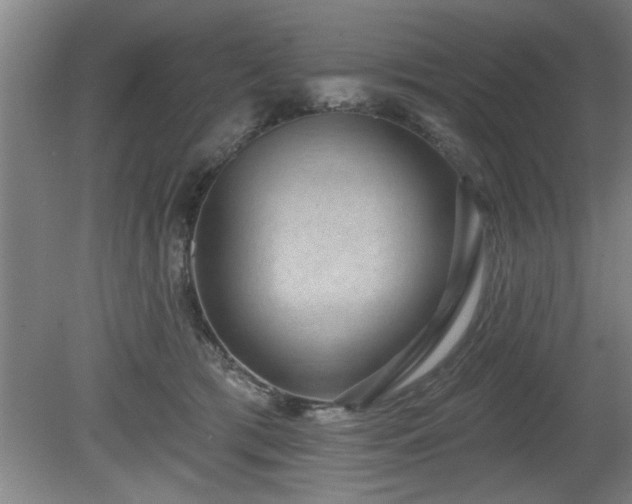 X0000080720417200612221232