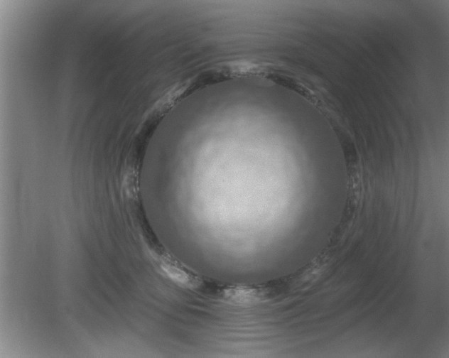 X0000080720419200612221232