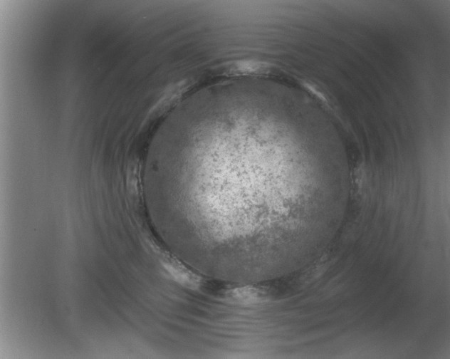 X0000080720423200612221232