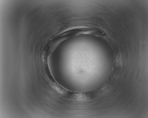 X0000080720424200612221232