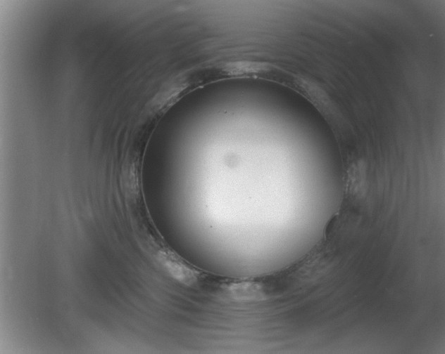 X0000080720426200612221232