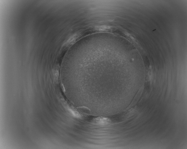 X0000080720427200612221232