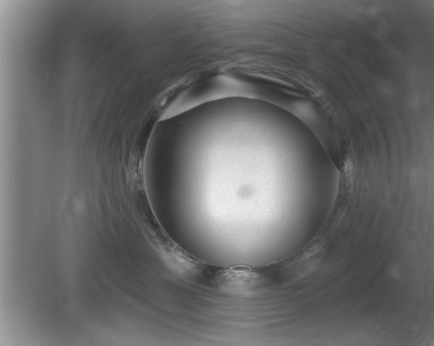 X0000080720429200612221232