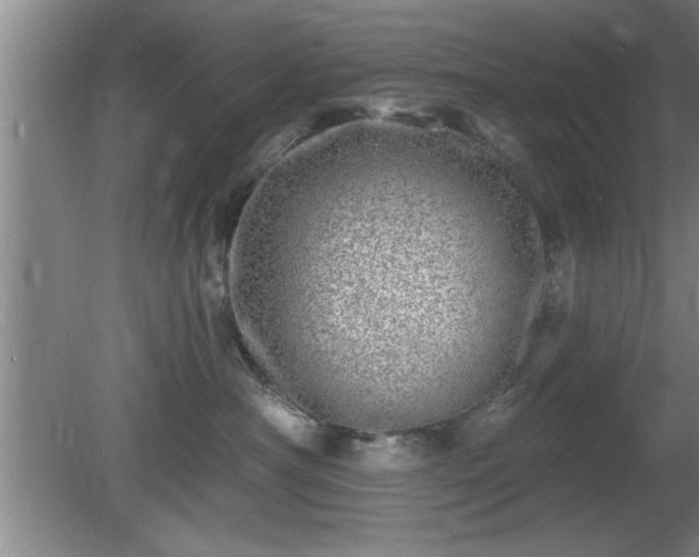 X0000080720430200612221232