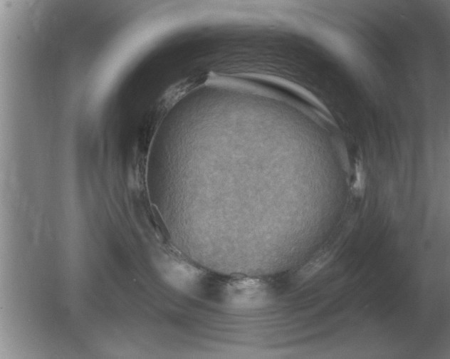 X0000080720431200612221232