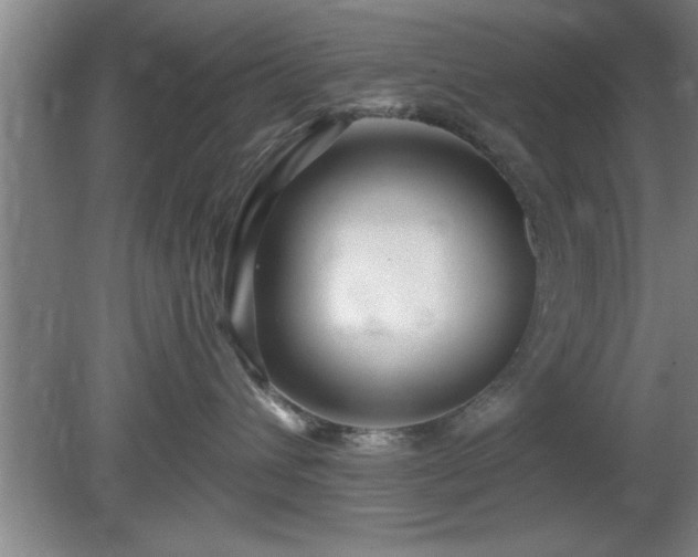 X0000080720432200612221232