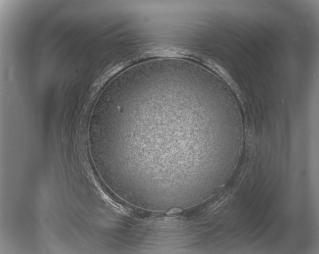 X0000080720433200612221231