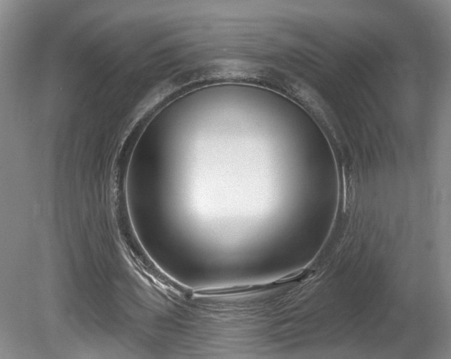 X0000080720435200612221231