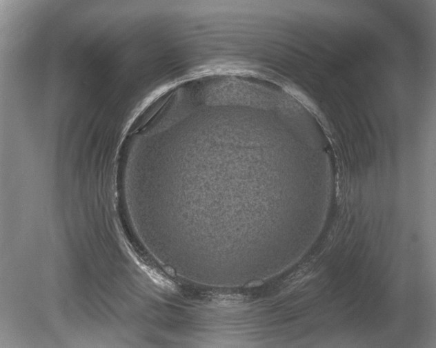 X0000080720438200612221231