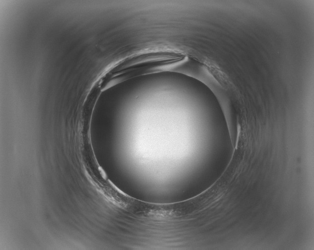 X0000080720440200612221231