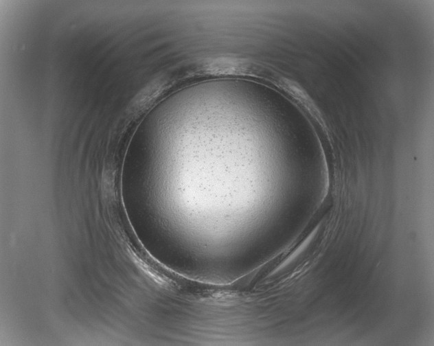 X0000080720441200612221231