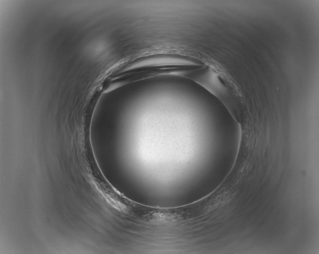 X0000080720442200612221231