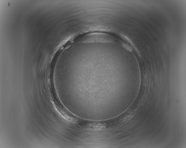 X0000080720443200612221231