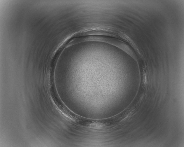 X0000080720444200612221231