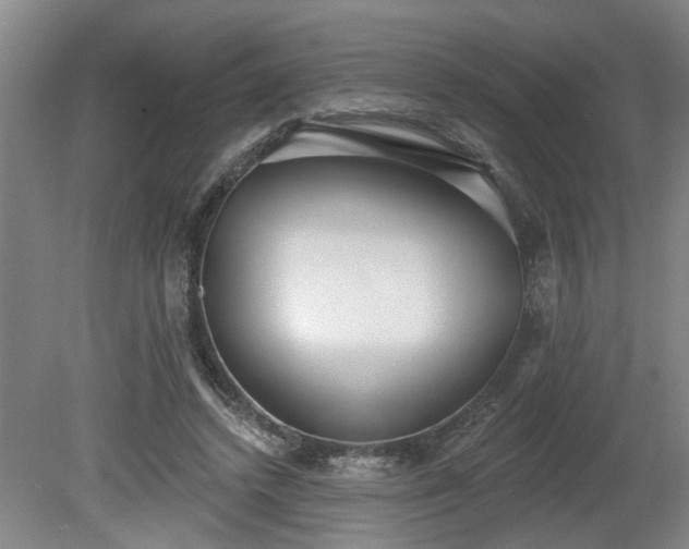 X0000080720448200612221231