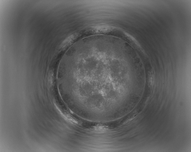 X0000080720451200612221231