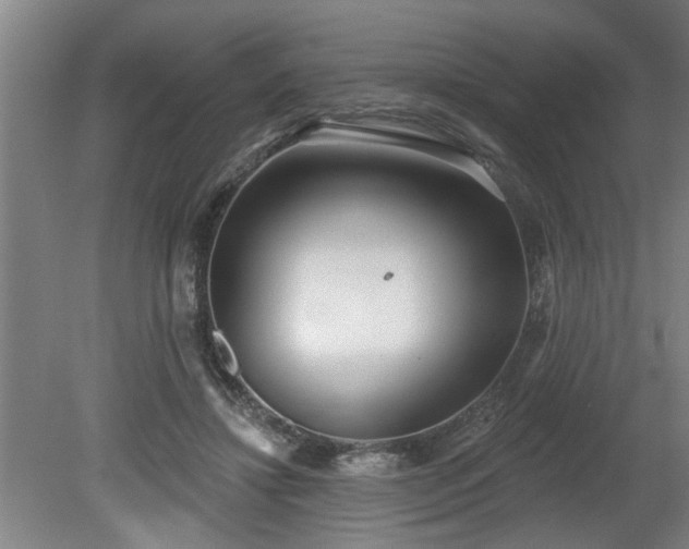 X0000080720452200612221231