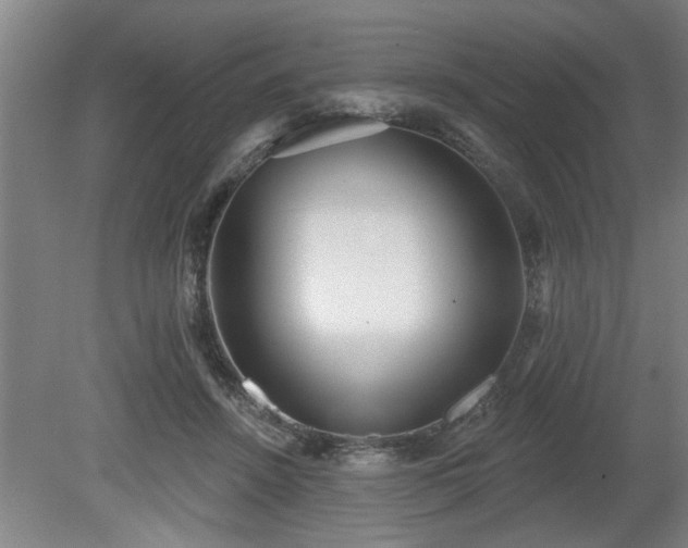 X0000080720456200612221231