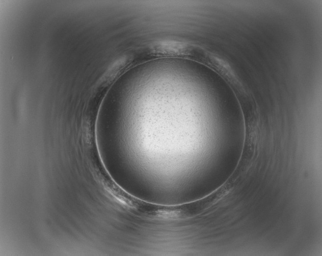 X0000080720457200612221231