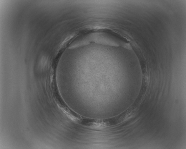 X0000080720458200612221231