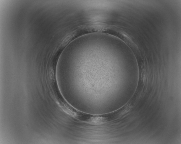 X0000080720459200612221231