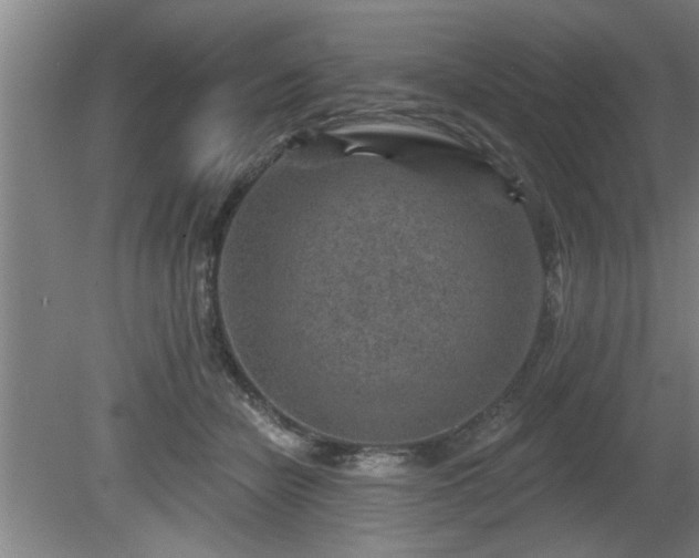 X0000080720462200612221231