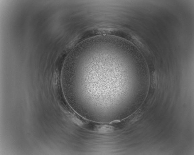 X0000080720463200612221231