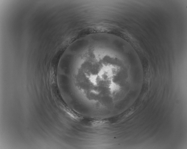 X0000080720465200612221231