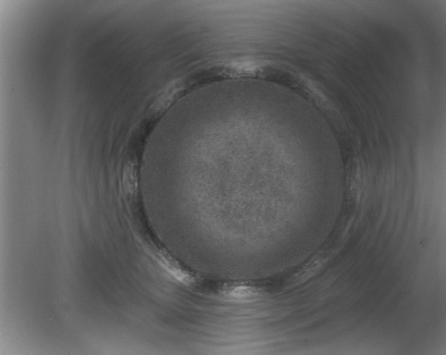 X0000080720467200612221231