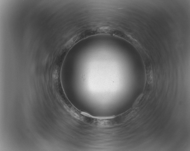 X0000080720472200612221232