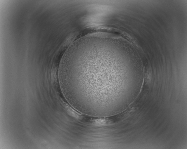 X0000080720473200612221232