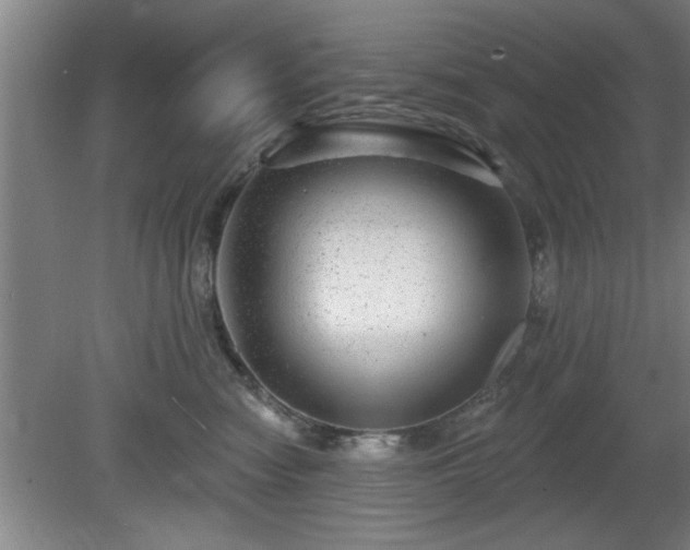 X0000080720474200612221232