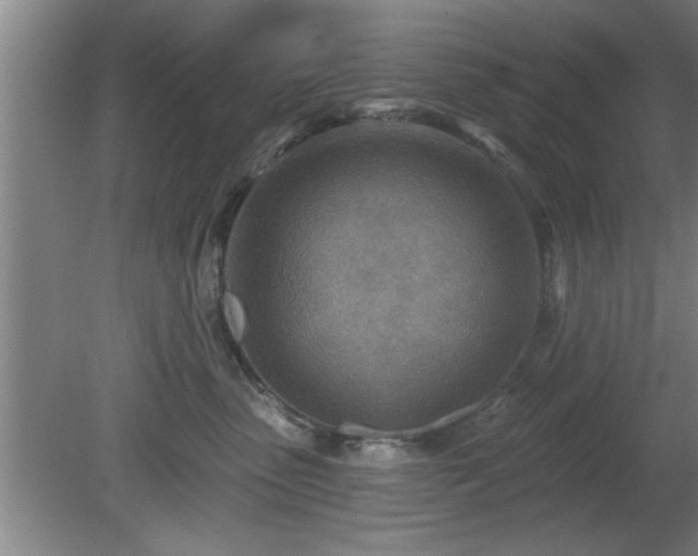 X0000080720475200612221232