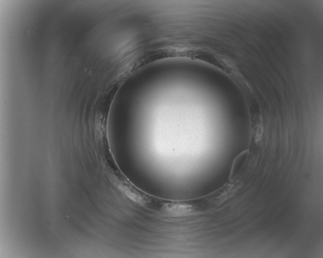 X0000080720476200612221232