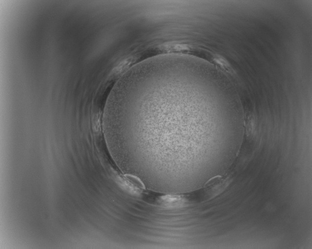 X0000080720477200612221232