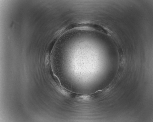 X0000080720478200612221232