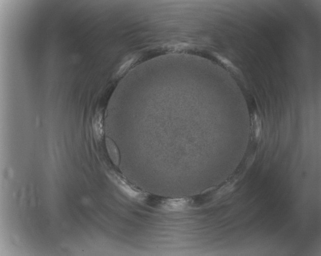 X0000080720479200612221232