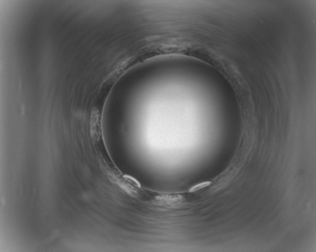 X0000080720480200612221232