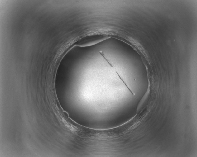 X0000080720481200612221231