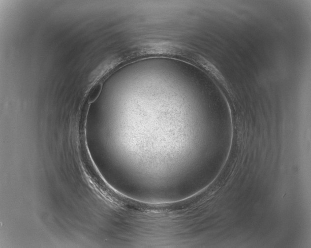 X0000080720482200612221231